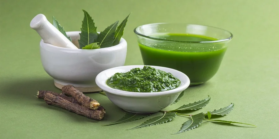 Still life of neem leaves, a white mortar and pestle, herbal green paste, green drink, and roots on a soft green background.