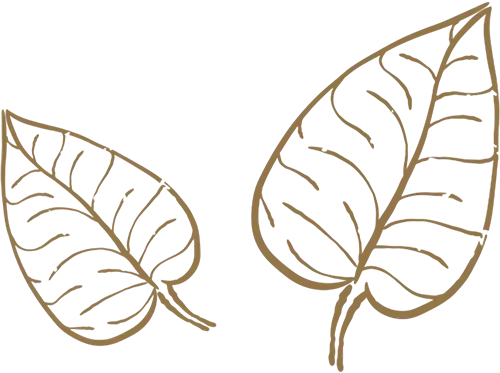 leaf